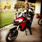 fernando catalá - @fernando.catala - Instagram