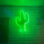 Fernando Catalán - @dulccactus - Instagram