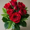 Fernando Catalan - @fernando.catalan15 - TikTok
