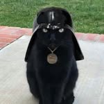 Fernando Catalan Espinoza - @fernandocatalanespinoza - Instagram