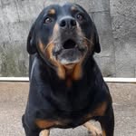 Fernando Cavallo - @cavallofernando17 - Instagram