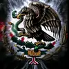 Fernando Cedillo - @fernando.cedillo83 - TikTok