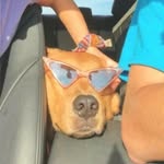 Fernando Cendejas - @_fire_fernando_ - Instagram