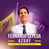 Fernando Cepeda - @fernando.cepeda98 - TikTok