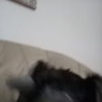 Fernando Cerezo - @fernando.cerezo.14811 - Instagram