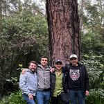 Fernando Cerna - @fercernando - Instagram