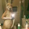 Fernando Cerna - @fernandocerna242 - TikTok