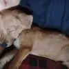 Fernando Cespedes Suclupe - @fernando.cespedes641 - TikTok