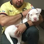 Fernando Cetina - @fernando.cetina.37 - Instagram