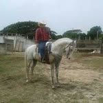 Luis Fernando Pech Cetina - @luisfernando.pechcetina.37 - Instagram