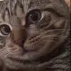 Fernando Chavira - @fernando.chavira26 - TikTok