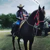 Fernando Chavira - @fernandochavira5 - TikTok