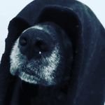Fernando chui - @fernando.chui - Instagram