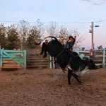 Clayton Fernando - @claytomfernando - Instagram