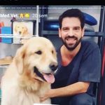 Fernando Colen Cardoso - @fernandocolenvet - Instagram