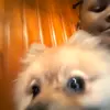 Fernando.cole28 - @fernando.cole28 - TikTok