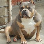 Fernando Collazo - @fernando_collazo1 - Instagram