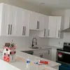 Fernando Collazo - @user166237379 - TikTok