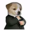 fernando Collazo - @gustavo.collazo2 - TikTok