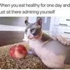 Fernando Compean - @fernando.compean0 - TikTok