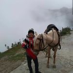 Fernando_concepcion - @fernando_concepcion3 - Instagram