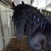 Fernando Conde - @fernando.conde802 - TikTok