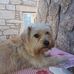 Fernando Conde - Facebook