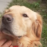 Cooper Fernando - @cooper_fernando_ - Instagram