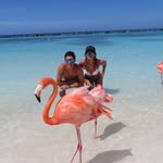 Fernando Cope - @fercope27 - Instagram