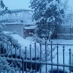 Fernando Corella - @fevet58gmail.com_ - Instagram