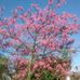 Av. Fernando Correia Da Costa - Facebook