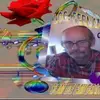 Fernando Correia - @fernando.correia137 - TikTok