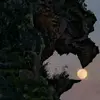 Fernando Cos - @fernando.cos5 - TikTok