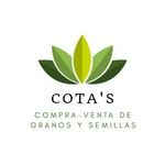 Fernando Cota Gonzalez - @fernando_cotagz - Instagram
