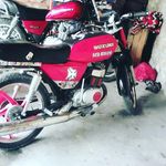 Fernando Coy - @fernandocoy4980 - Instagram