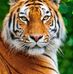 Fernando Coy - Facebook