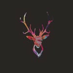 fernando curtis - @arcticmooose - Instagram