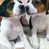 Fernando Davalos - @fernando.davalos0 - TikTok