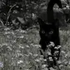 Fernando DeAnda - @fernando.deanda2 - TikTok