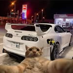 Fernando Deleon - @deleonoso - Instagram