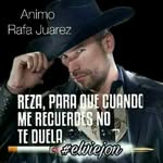 Fernando Guzman Desiderio - @fernandoguzmandesiderio - Instagram