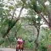 fernandodesiderio6 - @fernandodesiderio6 - TikTok