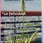 Elvis Fernando Egea Camelo - Facebook