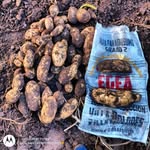 Fernando Egea - @fernandonicolasegea - Instagram