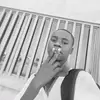Fernando -Fox - @fernando.fox2 - TikTok