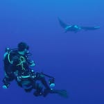 Fernando Garces - @_wandering_fern - Instagram