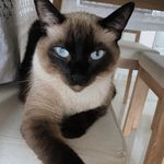 Fernando Garces Madera - @garcesmadera - Instagram