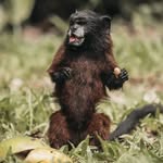 Fernando Herrada Paccsi - @nandopaccsi - Instagram