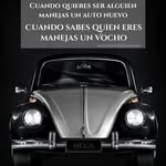Fernando Herz - @mobymistic - Instagram