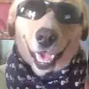 Fernando Hevia - @fernandohevia389 - TikTok